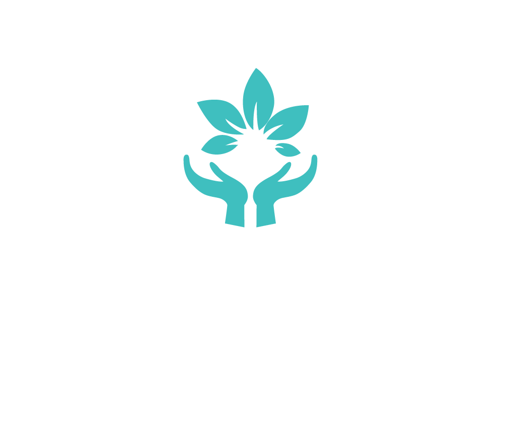 SachiSpa-logo_darkbgd-03 – Sachi's Spa Ltd